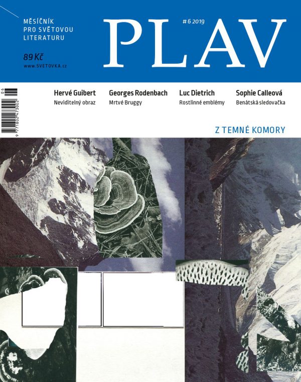 Plav 6/2019